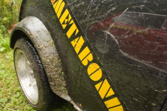 2006817182213venek104