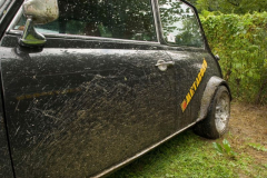 2006817182313venek102