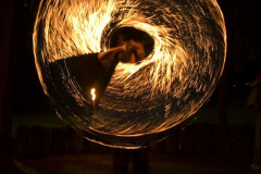 2006817182444venek099