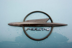 2006817184441venek078