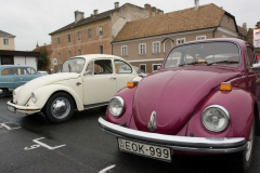 2006818152938venek069