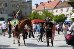 2006829141356Krmend2006078