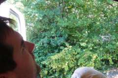 2007730151736imw2007jj058