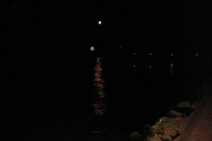 200781215313P1000224