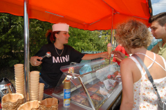 2007913221215picnic47