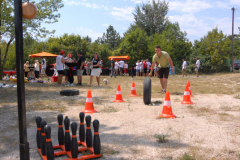 2007913222045picnic59