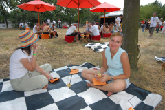 200791322338picnic78