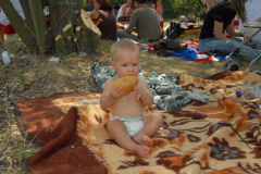 2007913225529picnic98