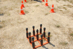 200791323254picnic113