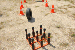 200791323441picnic114