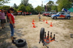 200791323528picnic117