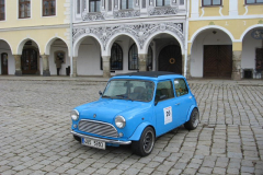2007106233135X.Narozemini029