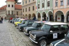 2007106233644X.Narozemini048