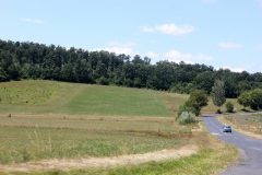 IMG_6799-copy