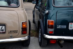 MEL_3969-copy_metabond