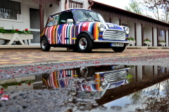 MEL_4511-copymirror2