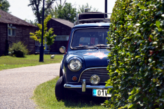 MEL_8227-copy_kezdo