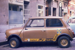 Feri-Minik196